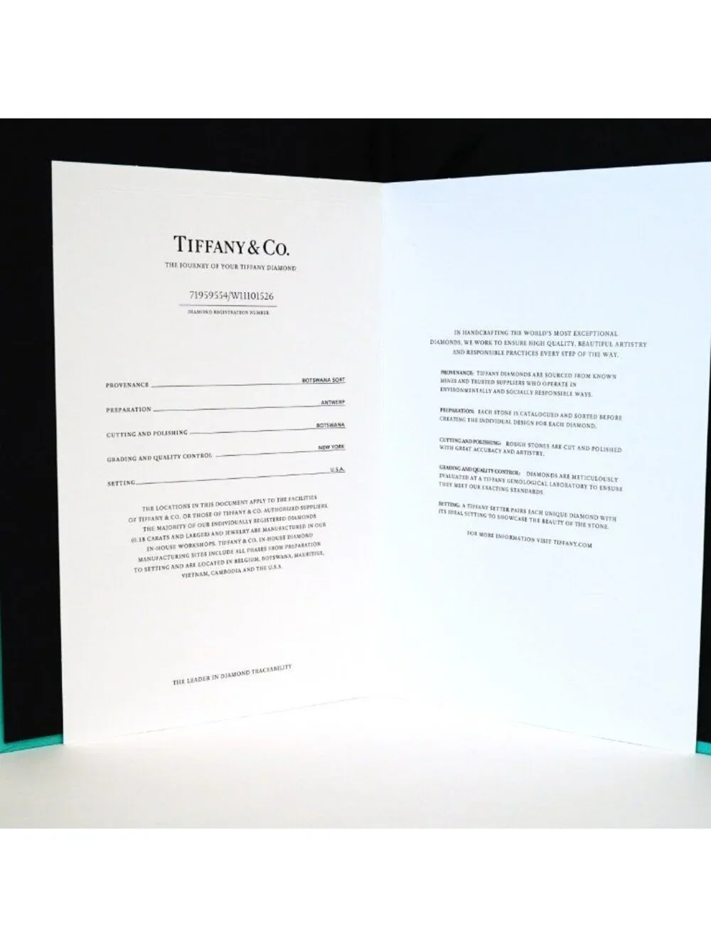 Tiffany & Co. tiffany coring
